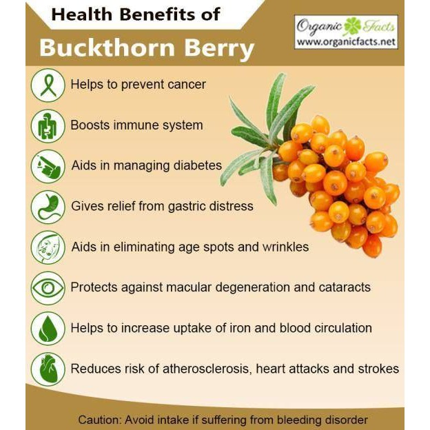 FEAGA LIFE有機沙棘粉200g