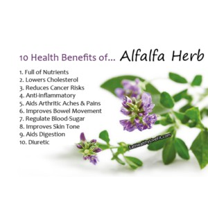 FEAGA LIFE 10倍濃縮有機苜蓿粉 200g