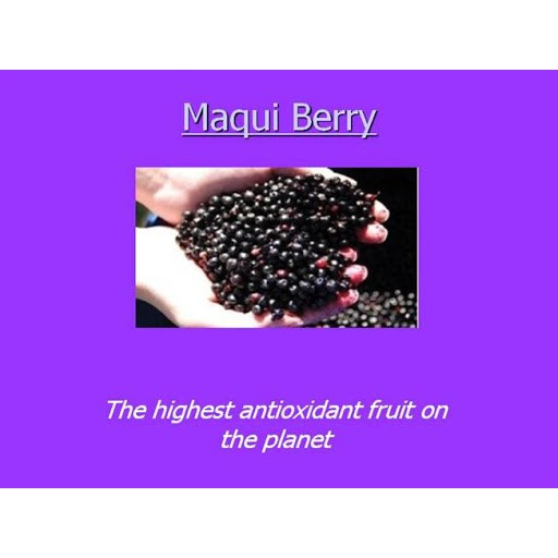 FEAGA LIFE凍乾萃取有機馬基莓粉80g