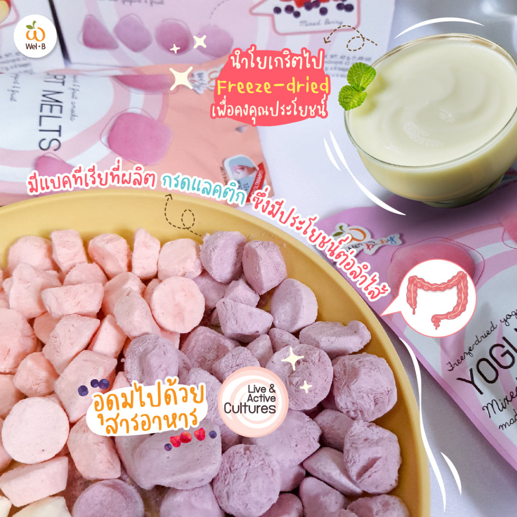 Wel-B Baby 嬰幼兒凍乾益生菌乳酪粒20g袋裝