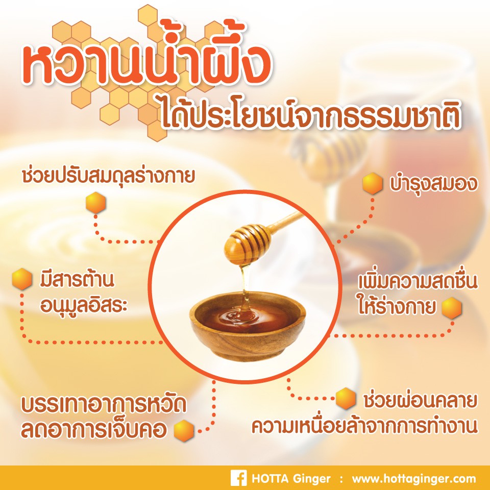HOTTA ๅณๆฒ่่ถ10ๅฐๅ
่ข่ฃ