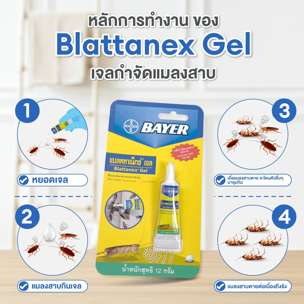 BAYER蟑螂殺手凝膠12g