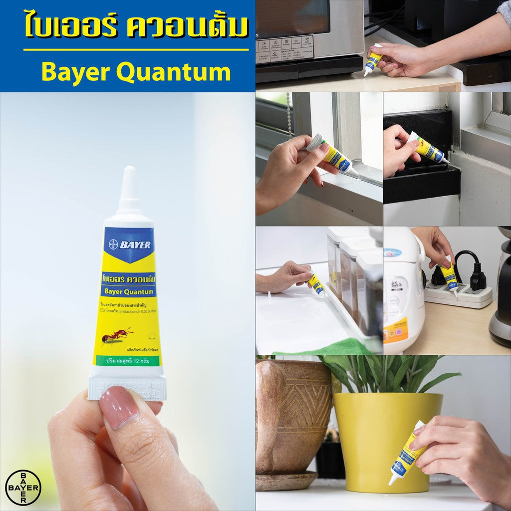 BAYER Quantum螞蟻糖水12g
