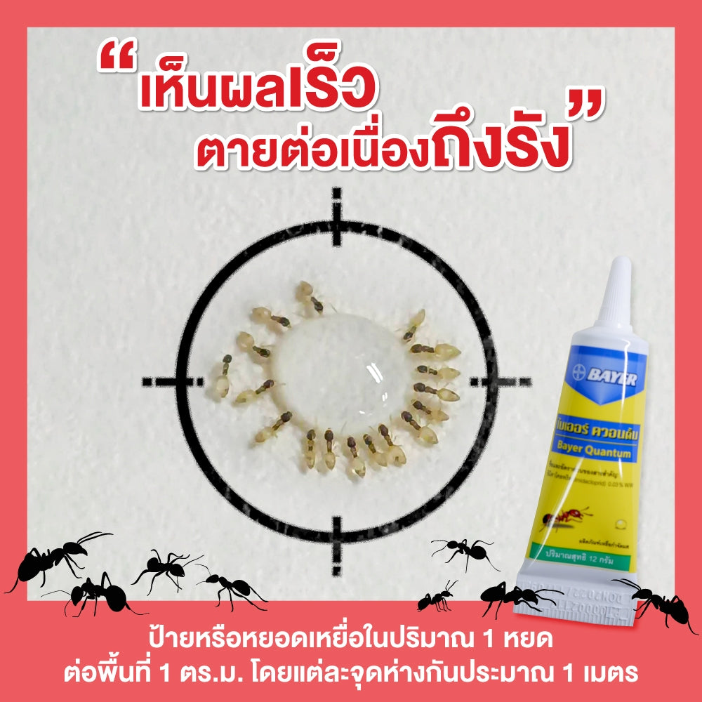 BAYER Quantum螞蟻糖水12g