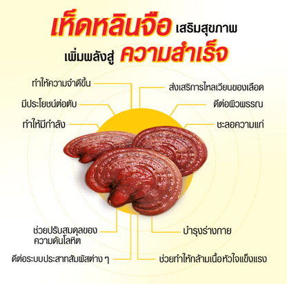 HOTTA PLUS即沖薑茶系列10小包袋裝