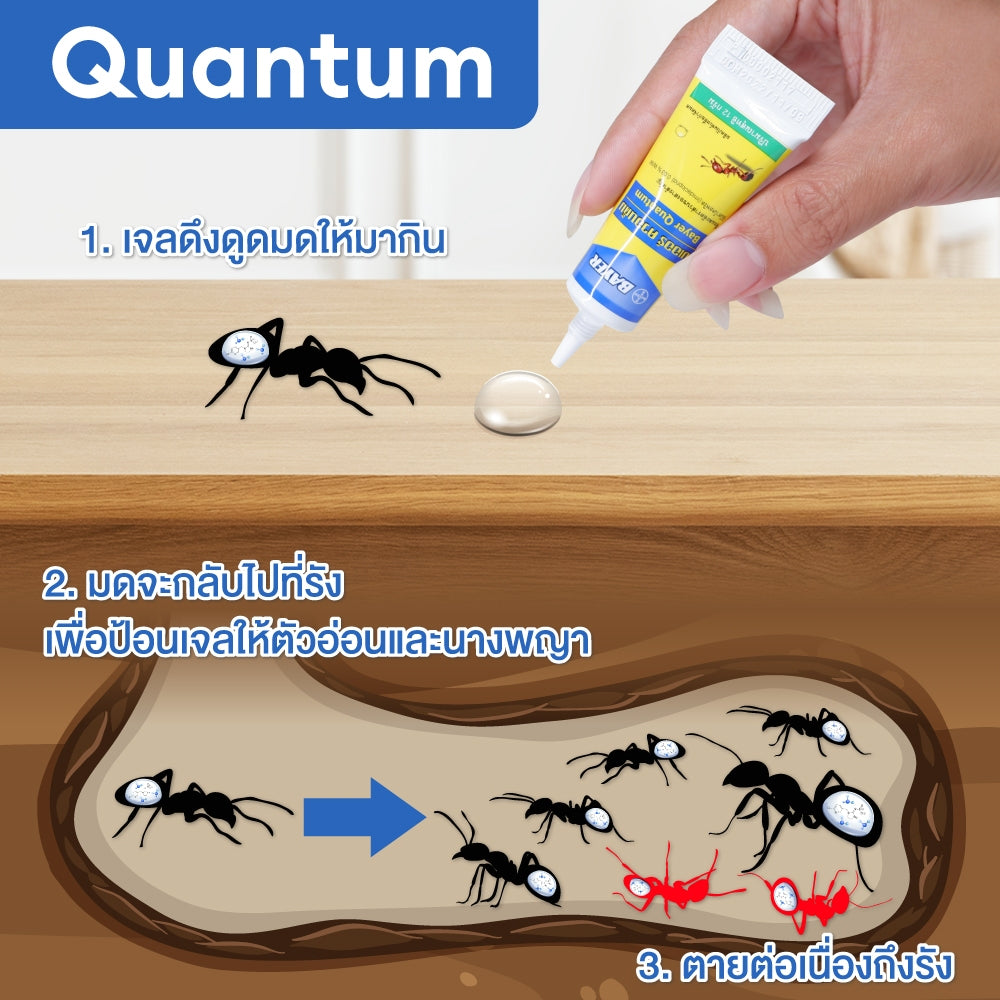 BAYER Quantum螞蟻糖水12g